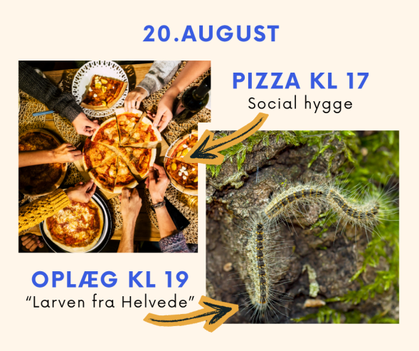 20_august.png